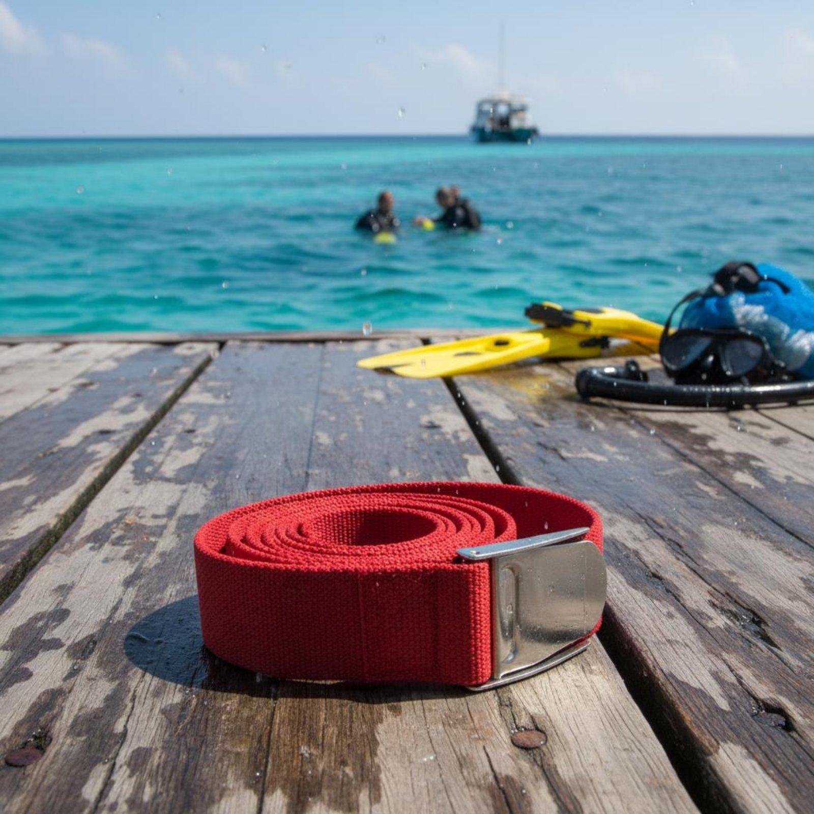 Professional Scuba Diving Weig - Dive Weight Belt review and price