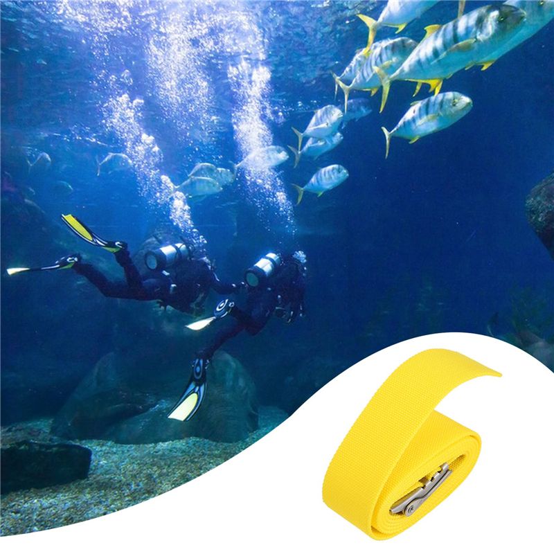 NALFI-Scuba Diving Equipment 1 - Dive Weight Belt review and price