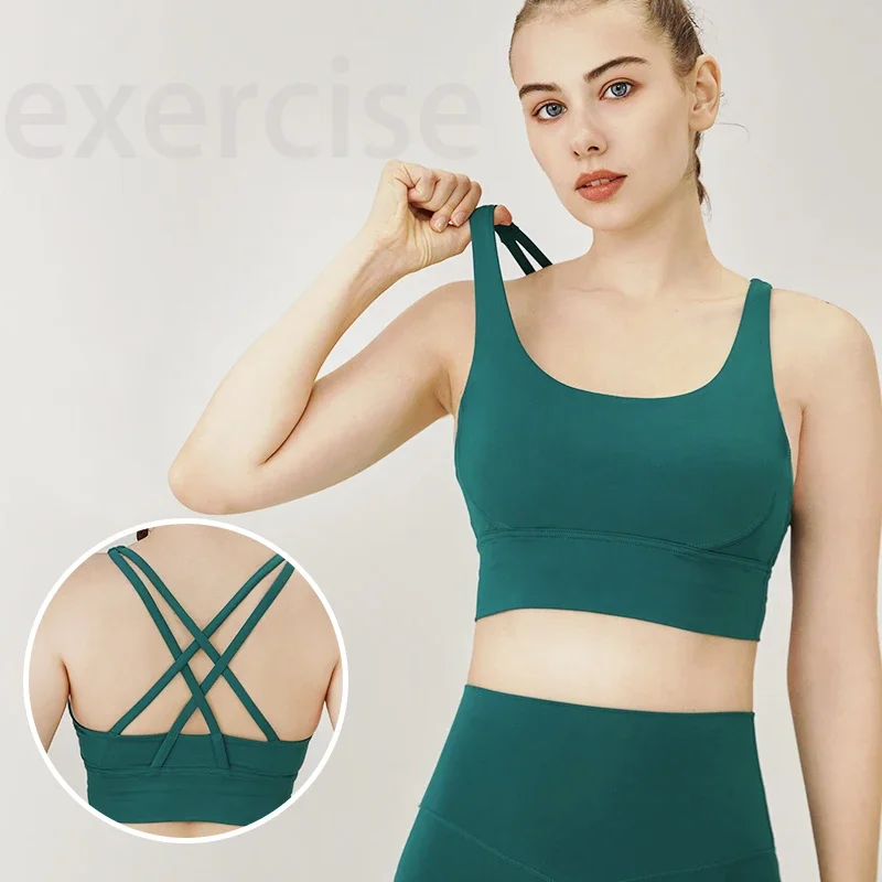 Classic Series Solid Color Wom - Aquatic Sports Bra review and price